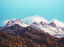 体育APP-奥赖利梅开二度 曼城战胜阿森纳收获联赛杯冠军